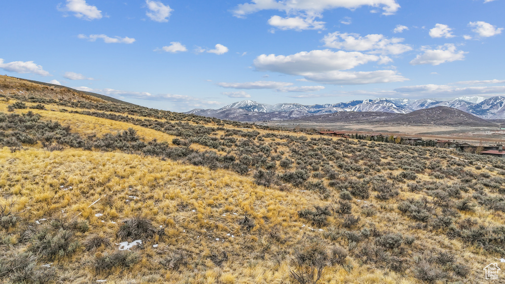 6745 WHITE DOVE WAY Park City, UT 84098