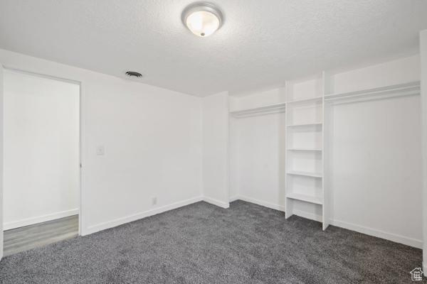 Spacious closet with dark carpet