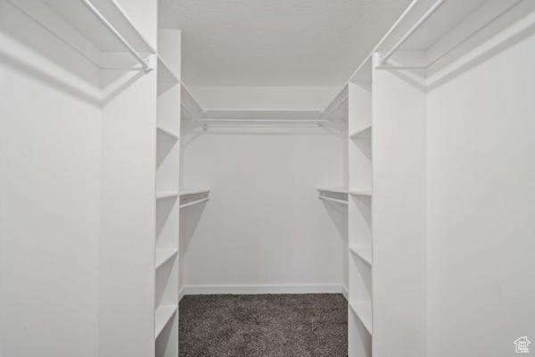 Walk in closet featuring dark colored carpet
