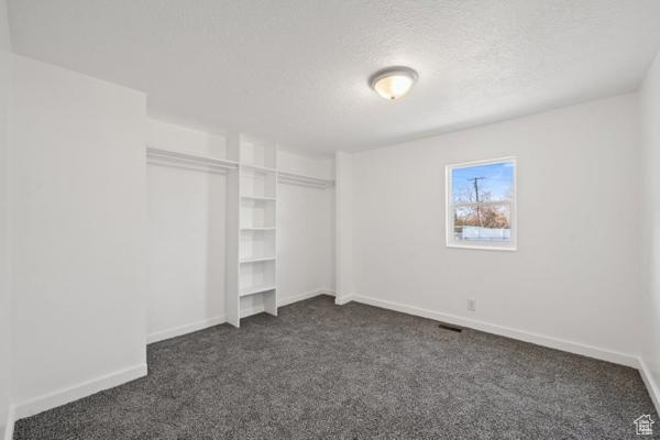 Spacious closet with dark carpet