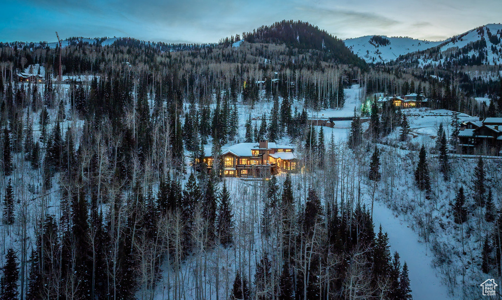 46 WHITE PINE CANYON RD Park City, UT 84060