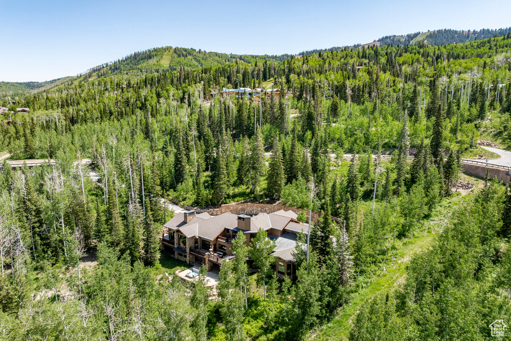 46 WHITE PINE CANYON RD Park City, UT 84060