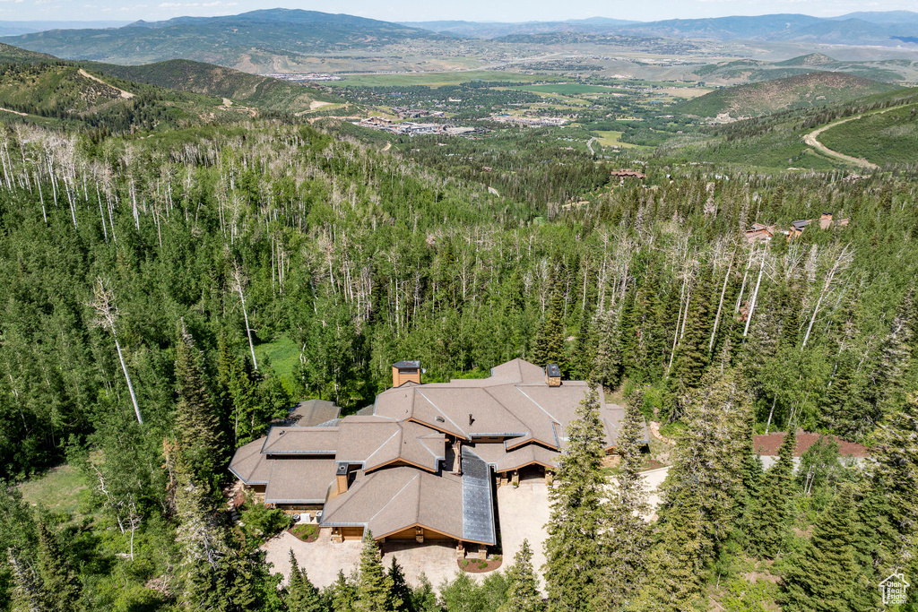 46 WHITE PINE CANYON RD Park City, UT 84060
