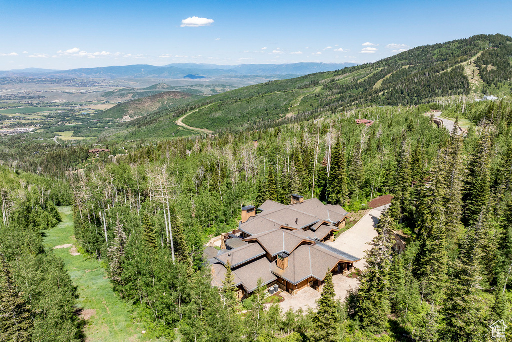 46 WHITE PINE CANYON RD Park City, UT 84060