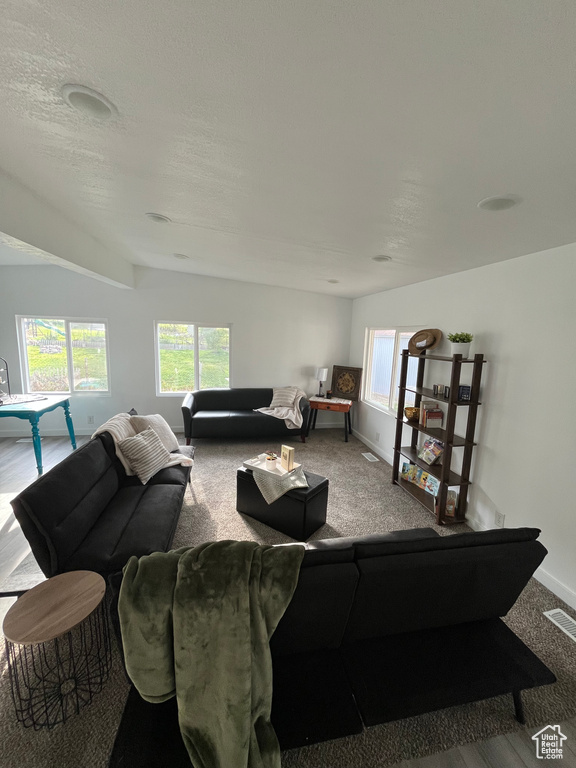 Carpeted living area with baseboards, visible vents, a healthy amount of sunlight, and vaulted ceiling