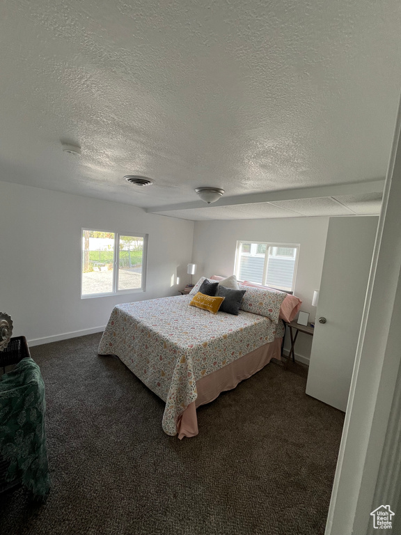 Bedroom featuring dark colored carpet, a textured ceiling, visible vents, and multiple windows