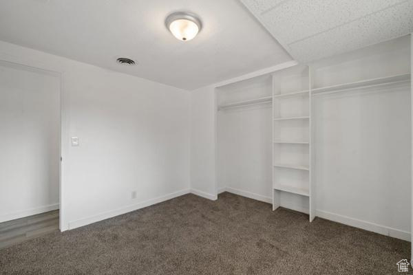 Walk in closet featuring dark colored carpet