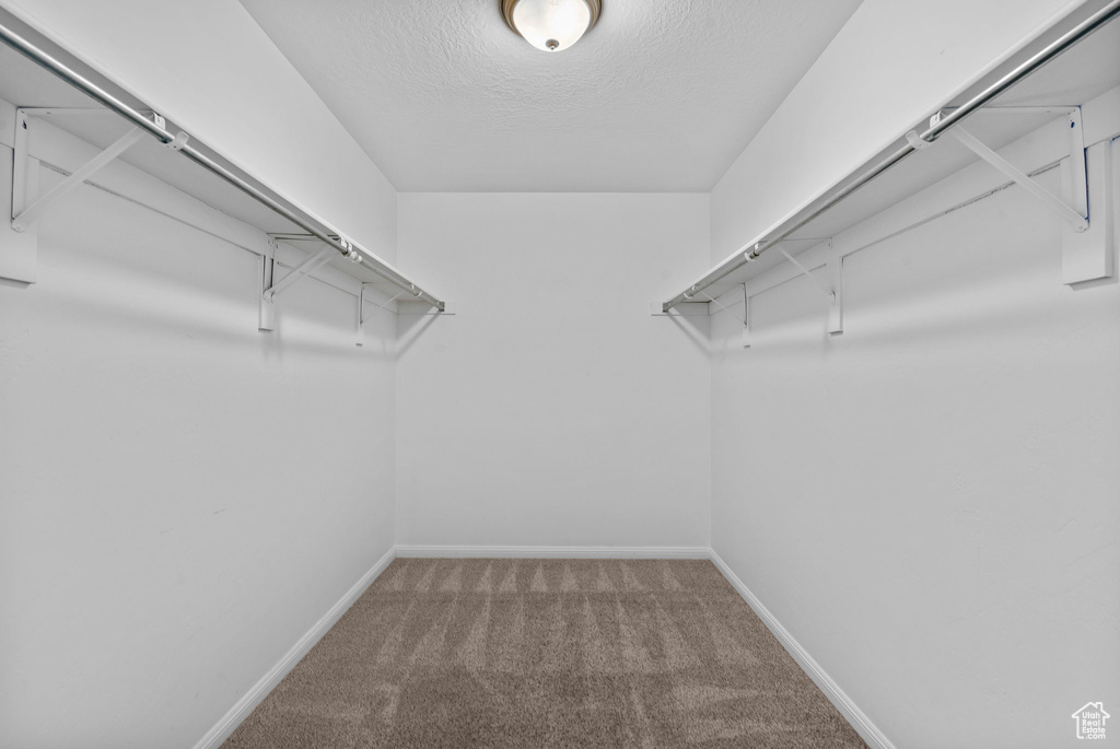 Spacious closet with carpet