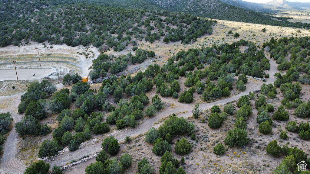 Birds eye view of property with a mountain view