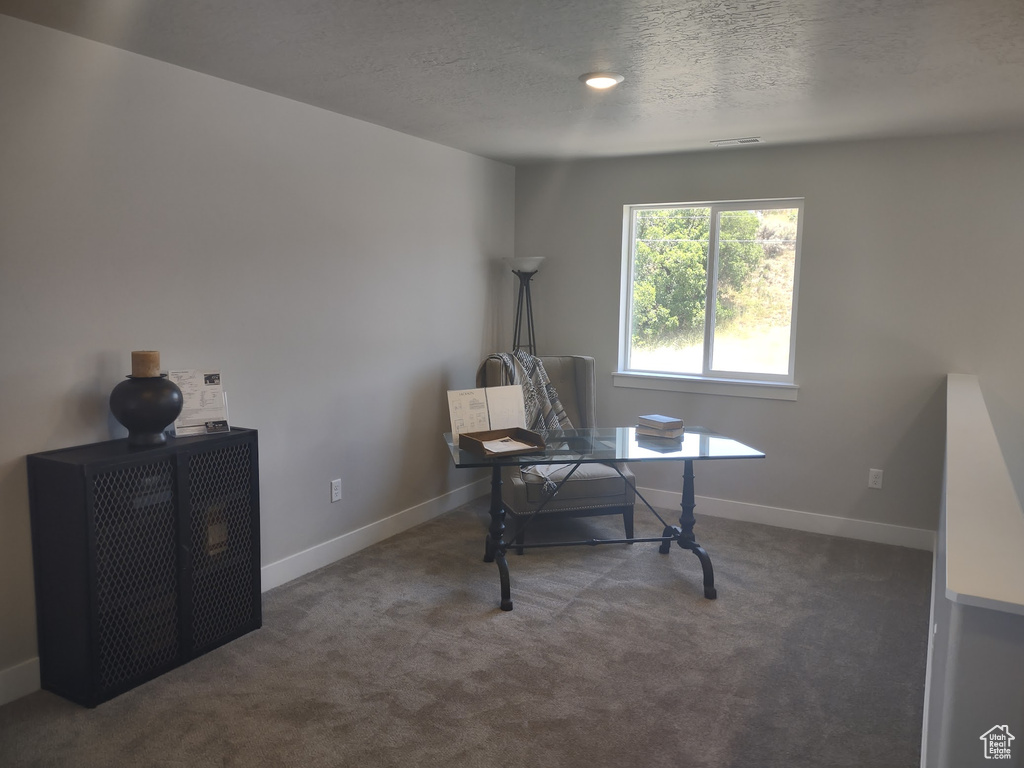 Carpeted office with a textured ceiling and baseboards