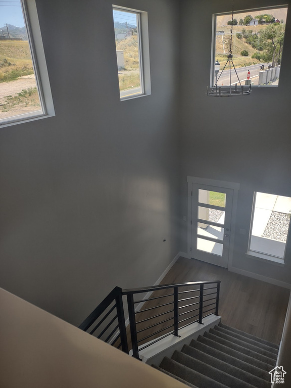Stairway with wood finished floors and healthy amount of natural light