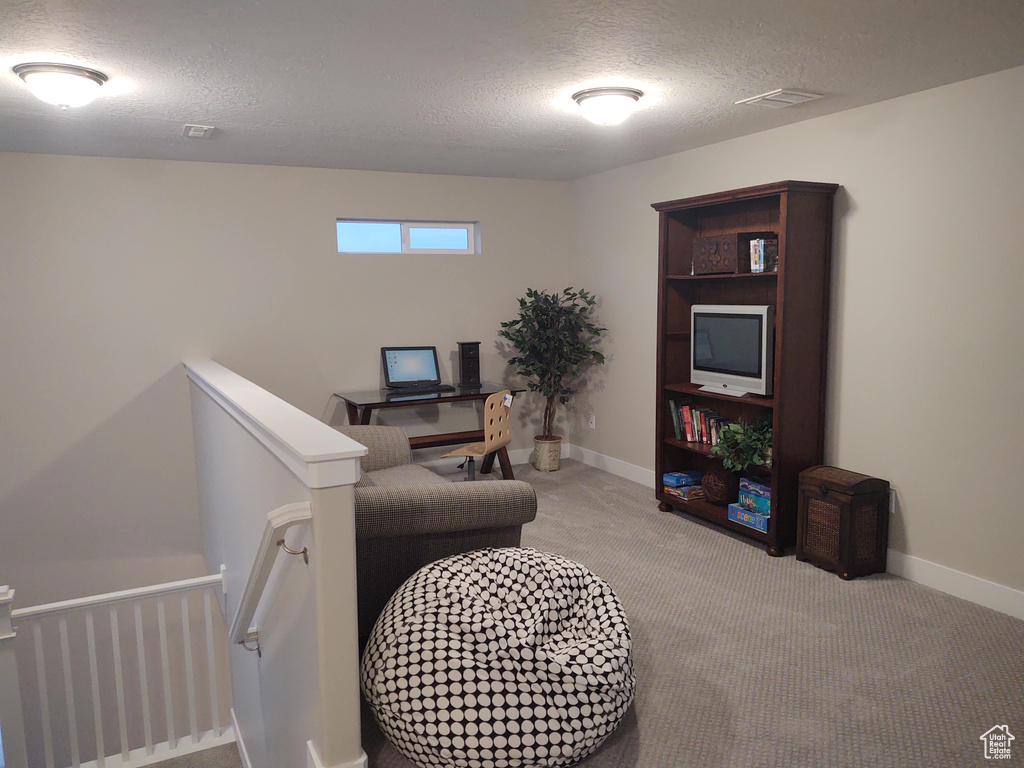 Carpeted office space featuring a textured ceiling