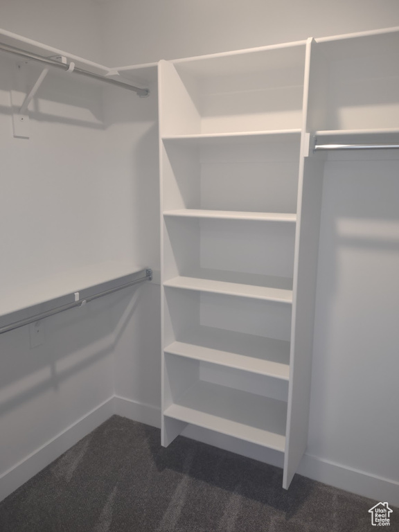 Walk in closet featuring dark colored carpet