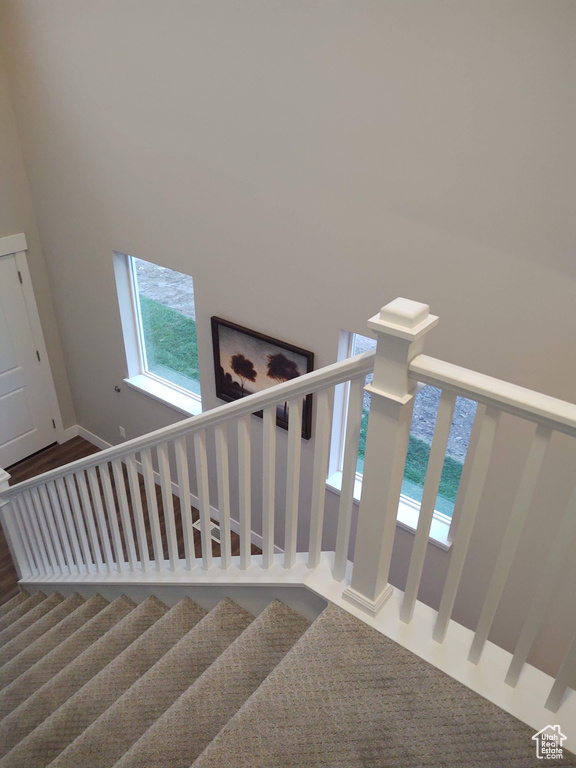 Stairs with carpet