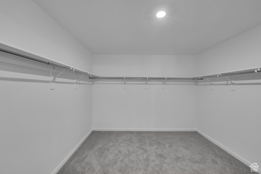 Walk in closet with carpet floors