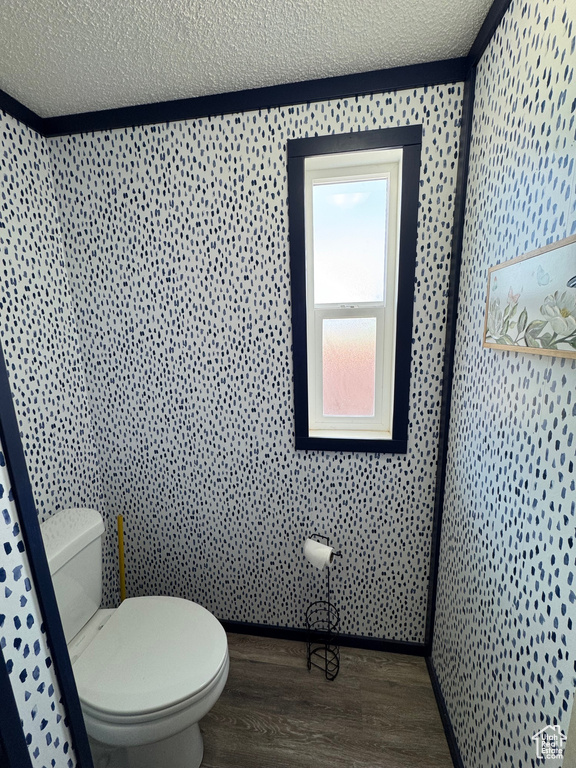 Bathroom with wood-type flooring, a textured ceiling, and toilet