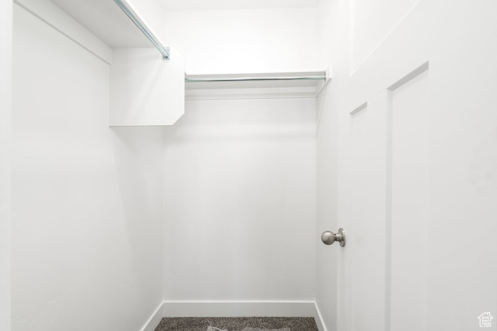 Walk in closet with carpet floors