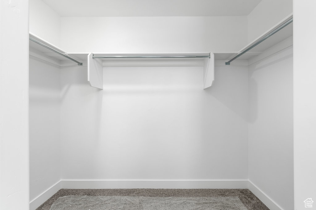 Walk in closet with carpet flooring