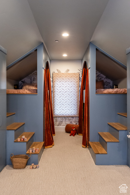 Stairs with carpet floors