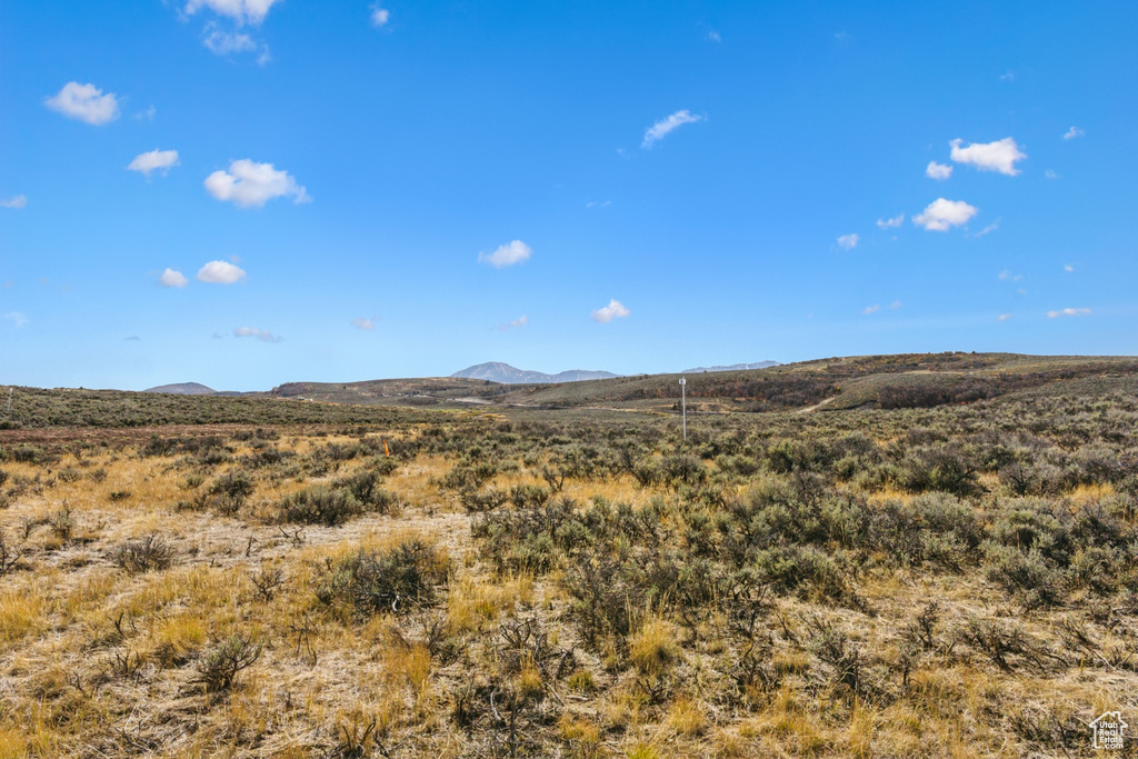 Photo 5 for MLS #2054408 at 5801 Double Deer Dr #3