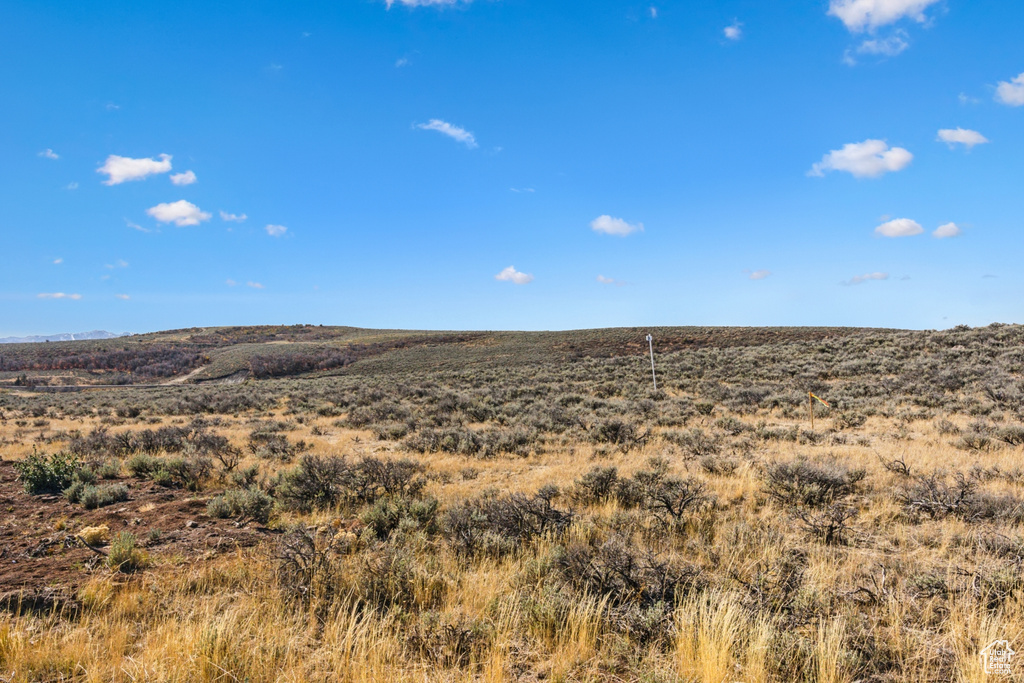 Photo 6 for MLS #2054408 at 5801 Double Deer Dr #3