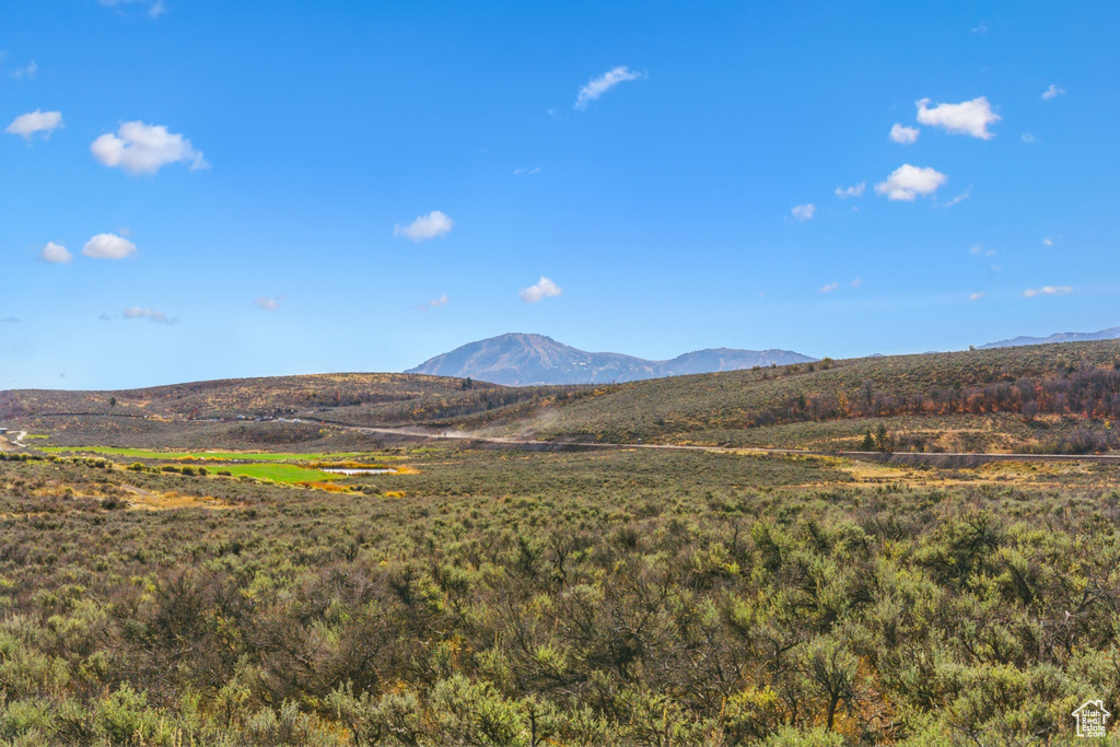 Photo 3 for MLS #2054408 at 5801 Double Deer Dr #3