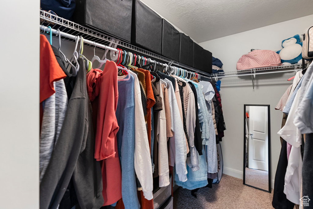 Spacious closet featuring carpet