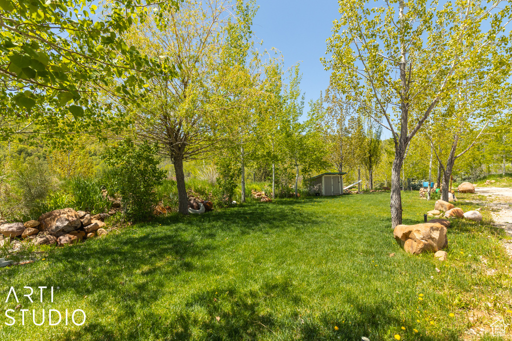 View of grassy yard with a shed and an outbuilding