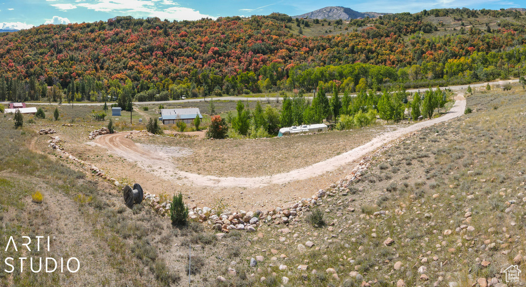 Bird\\\\\\\'s eye view of a heavily wooded area and a mountain backdrop