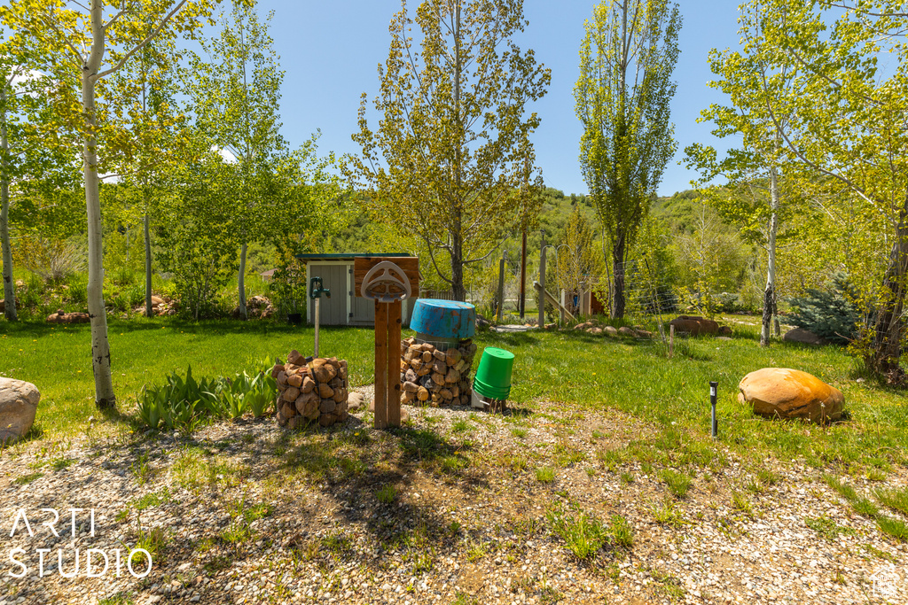 View of yard featuring a storage shed