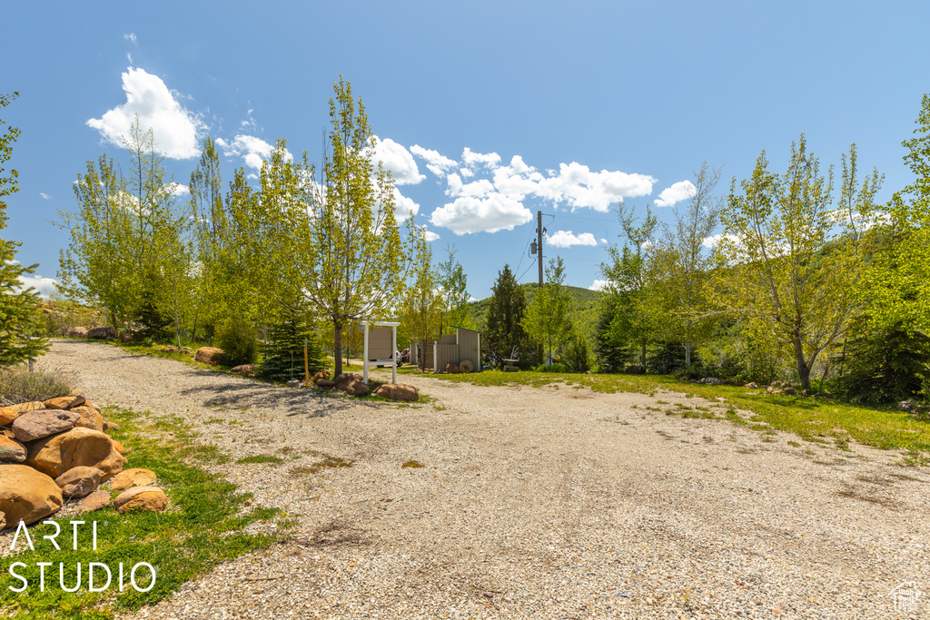 View of yard