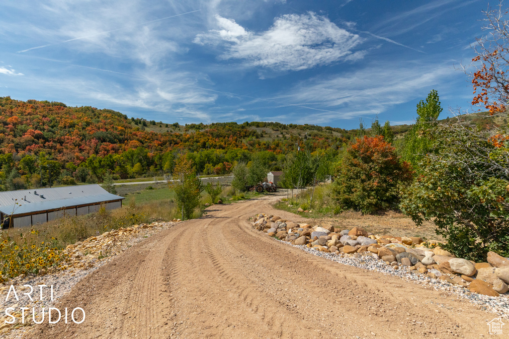 View of dirt / gravel road featuring a forest view