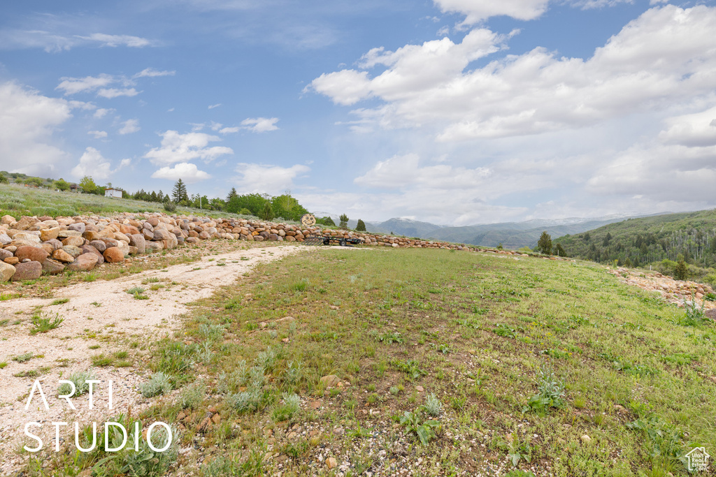 View of yard with a view of rural / pastoral area and a mountain view