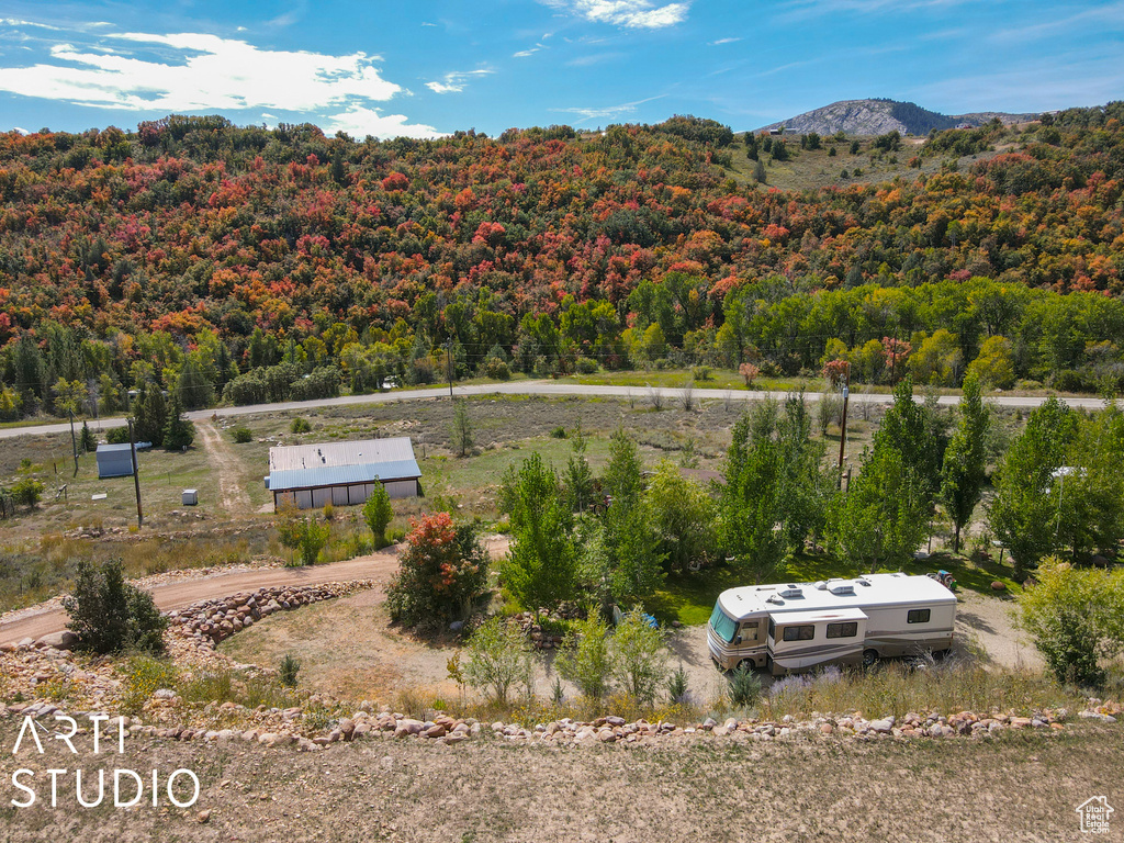 Drone / aerial view of a forest and a mountain backdrop