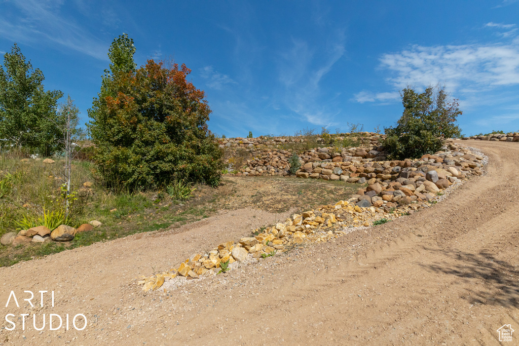 View of undeveloped land