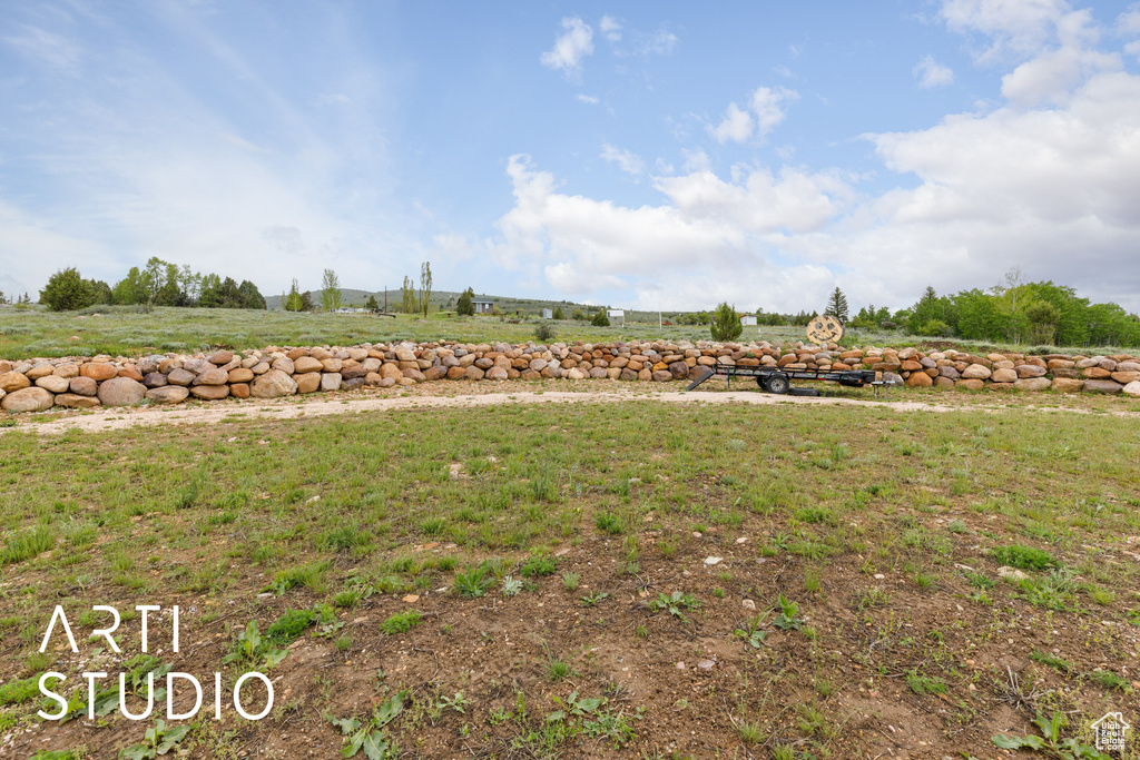 View of grassy yard