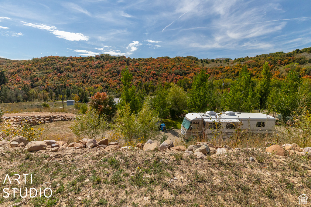 Mountain view with a heavily wooded area