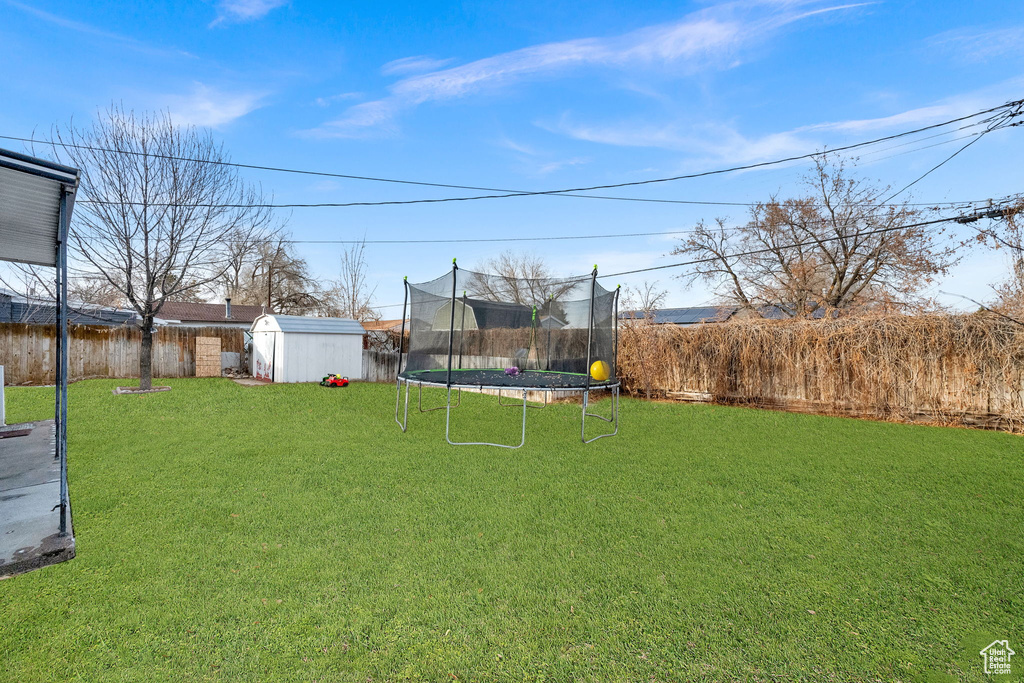 View of yard with a trampoline and a storage unit