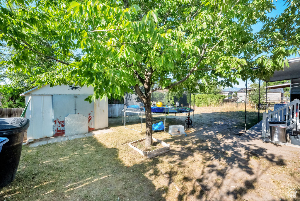 Fenced backyard featuring a trampoline and a shed