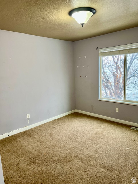 Carpeted empty room featuring a textured ceiling