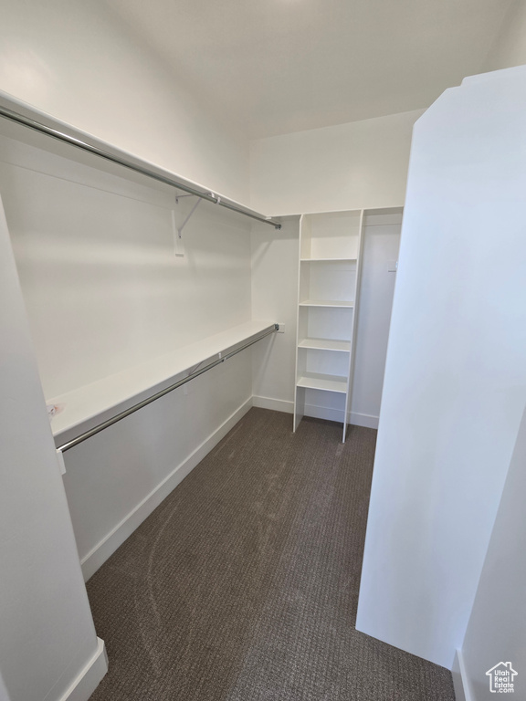 Walk in closet with dark carpet