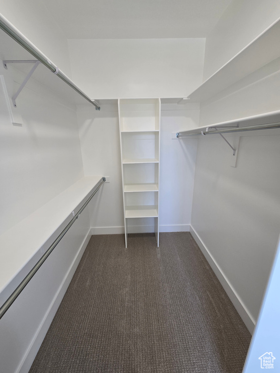 Spacious closet featuring dark colored carpet