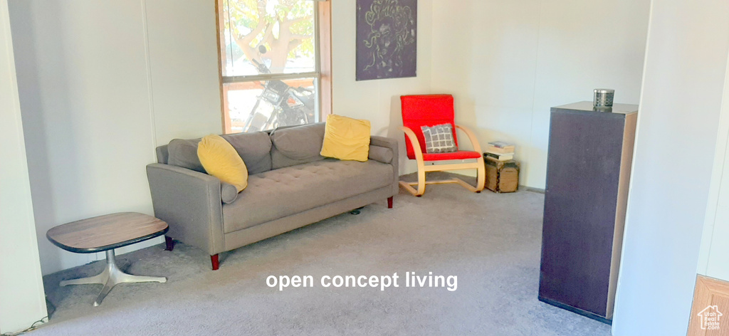 Living room with light colored carpet