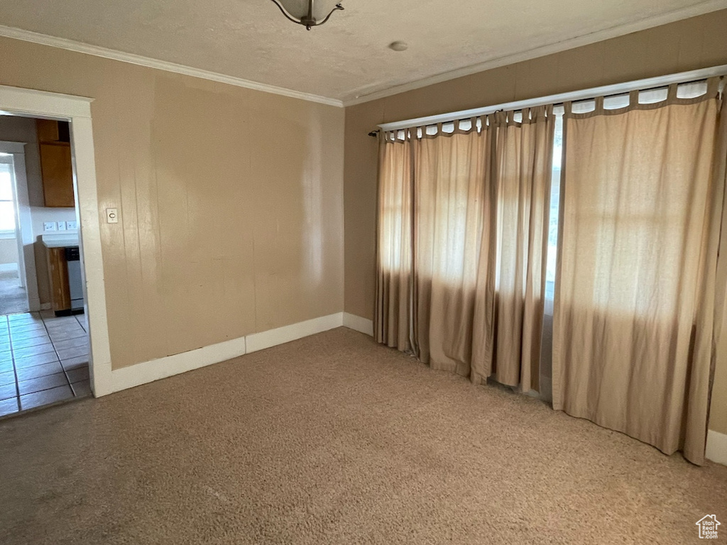 Empty room featuring carpet flooring, a textured ceiling, and ornamental molding