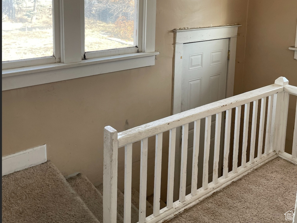 Stairway with a textured ceiling and carpet floors