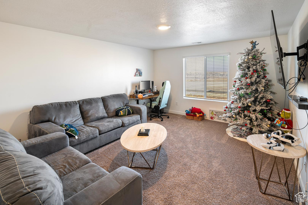 Carpeted living room featuring a textured ceiling