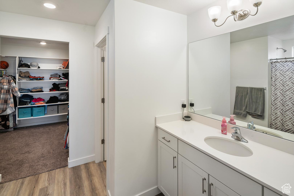 Bathroom featuring wood-type flooring and vanity