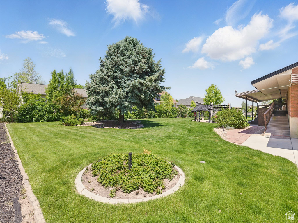 View of grassy yard