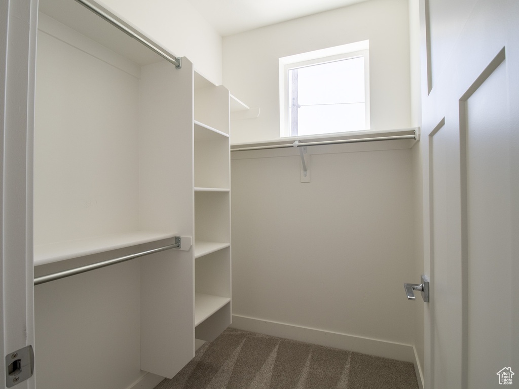 Walk in closet featuring carpet flooring