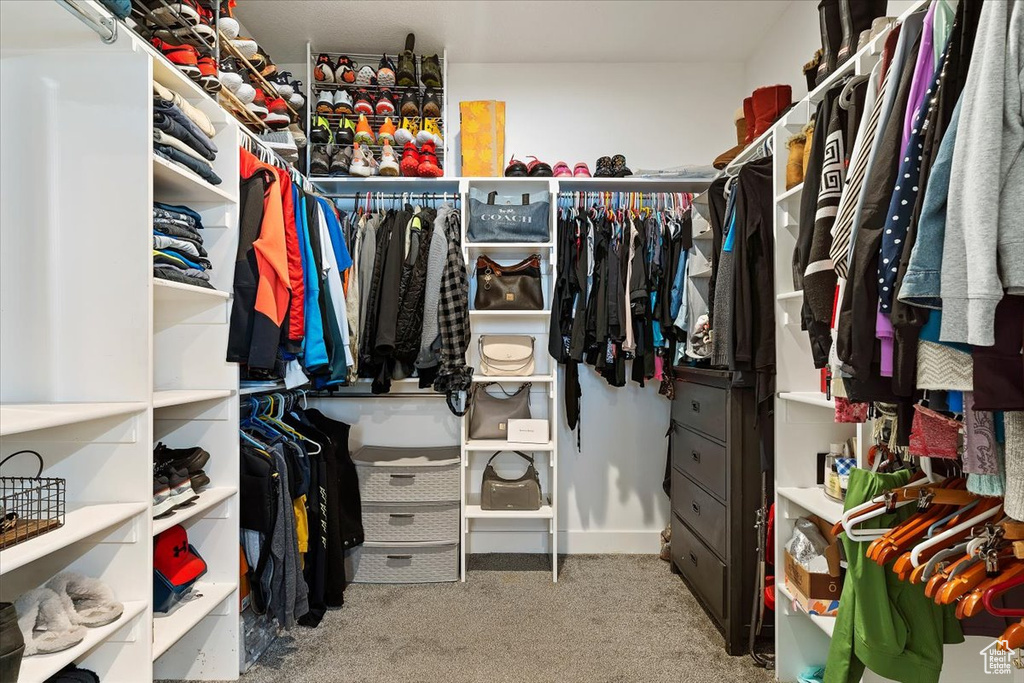 Walk in closet featuring carpet floors